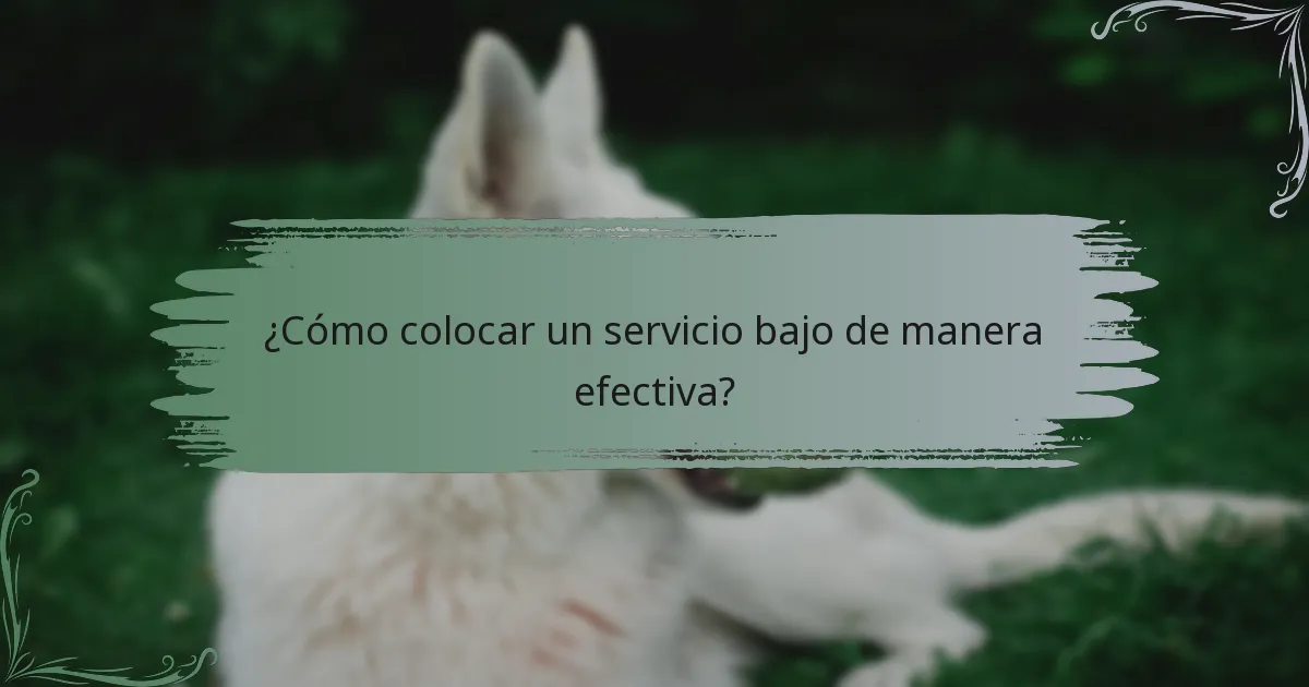 ¿Cómo colocar un servicio bajo de manera efectiva?