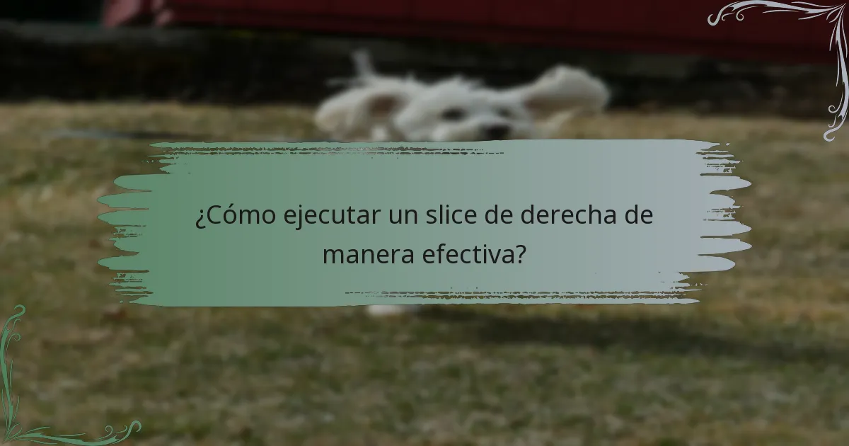 ¿Cómo ejecutar un slice de derecha de manera efectiva?