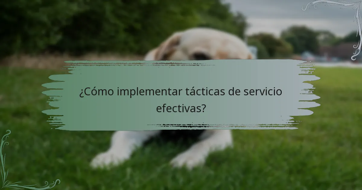 ¿Cómo implementar tácticas de servicio efectivas?