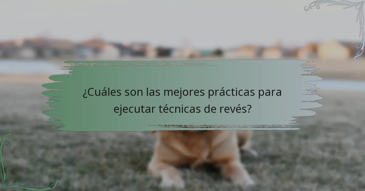¿Cuáles son las mejores prácticas para ejecutar técnicas de revés?