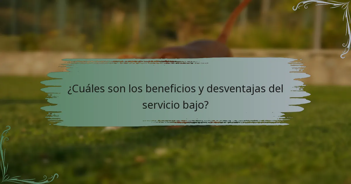 ¿Cuáles son los beneficios y desventajas del servicio bajo?