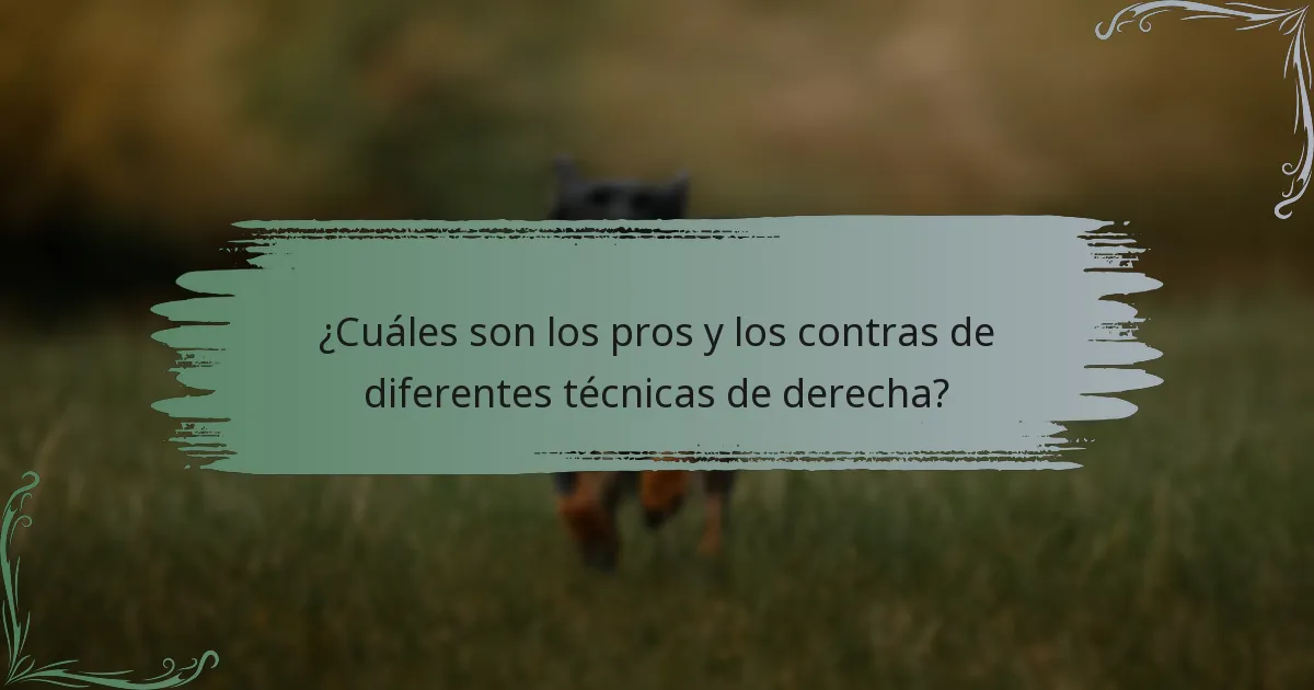 ¿Cuáles son los pros y los contras de diferentes técnicas de derecha?