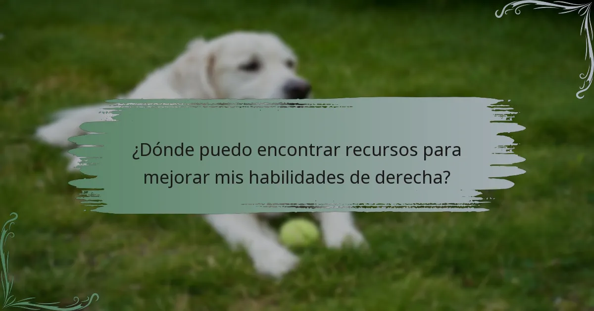 ¿Dónde puedo encontrar recursos para mejorar mis habilidades de derecha?